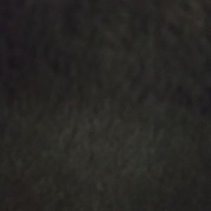 Meet your Posher, Joey